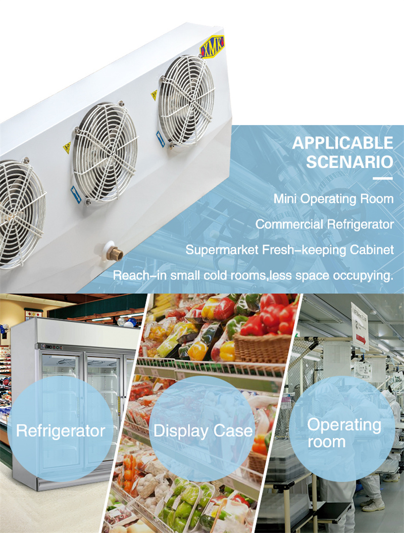 Cold storage evaporator