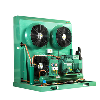 Bitzer Condensing Unit