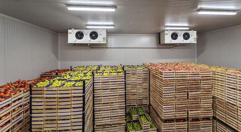 Fruit cold storage 11.jpg