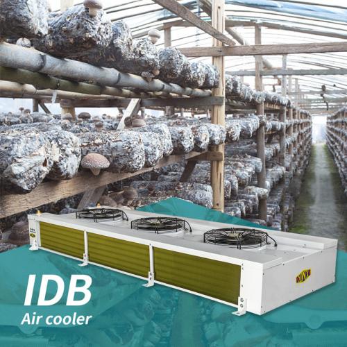 IDB系列工业型双面侧吹风冷风机